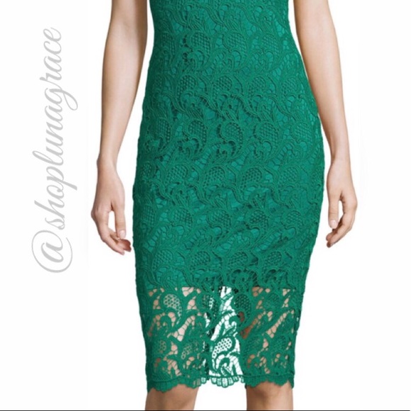 Alexa Admor Lace Overlay Dress - Picture 6 of 6